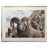 Signed 'Rocky Kingdom' by Rocky Kingdom