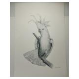 Cockatoo perched on a branch By Josephine Anne