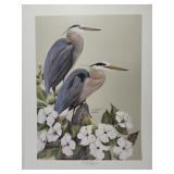 Double Exposure Signed & numbered