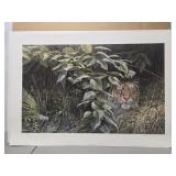 Signed "The Rains - tiger" by Seerey Lester 39/950