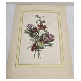 Floral Print by J L Prevost Ruotte