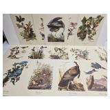 Lot of 14 Best Loved Bird Painting Prints