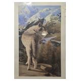 Signed 'The Journey Home' by Bob Travers