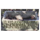 Heavy Concrete Rectangular Planter