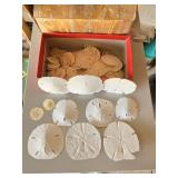 Collection of Misc Large & Small Sand Dollars