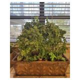 Large planter with a live ivy plant