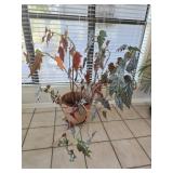 Down Home Begonia Plant in Terra Cotta Pot