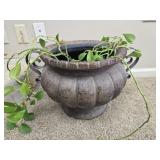 Large planter with live plants