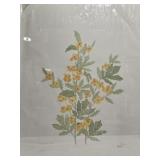Moran "Celandine" Lithograph