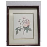 Small Framed flower print