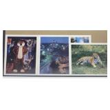 4 Auburn football photos