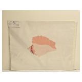 Signed Laura Robinson Werner Conch Print 8 of 50