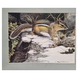 Squirrel Print by Robert Bateman