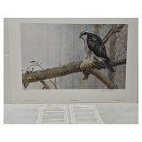 Robert Bateman signed and numbered print**