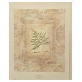 Fern Impressions I Print by Susan Davies