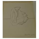 Etched seashell by Laura Werner