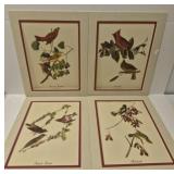 Lot of 4 bird prints