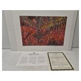 Robert Bateman signed and numbered print**