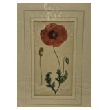"Papaver Rhreas" print