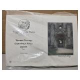 Set of Froggy and toadie cards