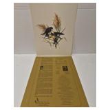 Roger Tory Peterson Barn Swallow" print