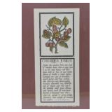 Saint Heironymus Press Recipe print