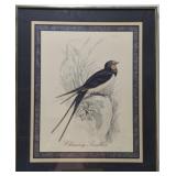 "Chimney Swallow" print