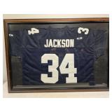Auburn Football Bo Jackson Framed Jersey