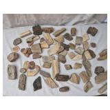 Fragments of petrified wood & more