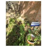 Estate lot of planters and frog decor