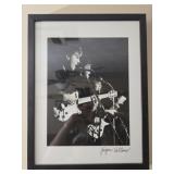 Framed Jï¿½rgen Vollmer photograph of the beetles