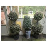 Lot of 3 topiaries as is