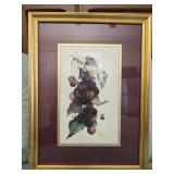 Signed Black hamborough by Blanche Sumrall print