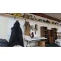 Live Indoor Sale -Taxidermy, Antiques, Tools, Vintage Toys, Coins, and more