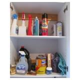 Bug Killer and More Lot