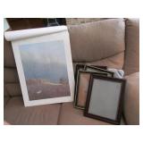 Picture Frames and Bird Portraits Lot