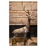 Brass Deer