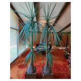 Two Artificial Palm Trees with Wood Bases