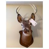 Deer Mount by JR Showalter