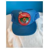 Camp Shenandoah- Stonewall Jackson Area Council