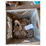 Hoist and 25ï¿½ chain