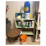 Green Shelf and Contents, Plant Table