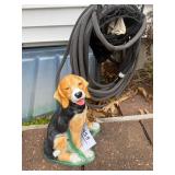 Beagle dog & hose