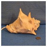 Conch Shell Lamp