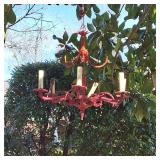 Red Chandelier