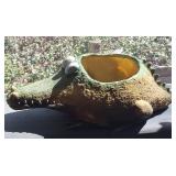 Crocodile Planter