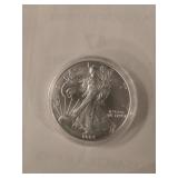 2004 American silver eagle