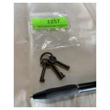Antique small skeleton keys