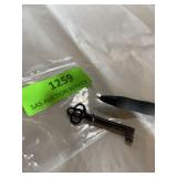 Antique metal skeleton key, hollow barrel