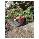 19 inch cast iron kettle